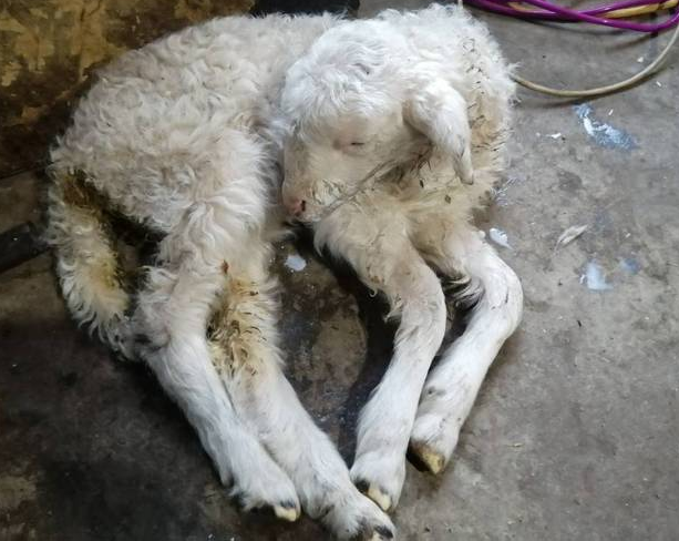 QQ图片20260120102853.png QQ图片20260120102853.png