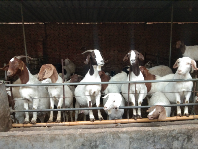 QQ图片20230309150044.png QQ图片20230309150044.png