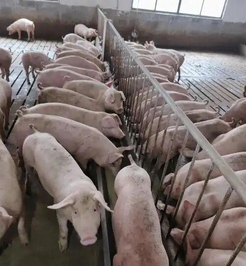 b302a69f6219692cbe1f925fcc7d6a01.jpg b302a69f6219692cbe1f925fcc7d6a01.jpg