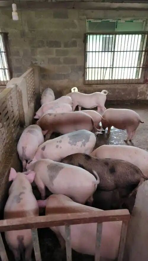 31c45842a67bea9c0f7894284b32045e.jpg 31c45842a67bea9c0f7894284b32045e.jpg