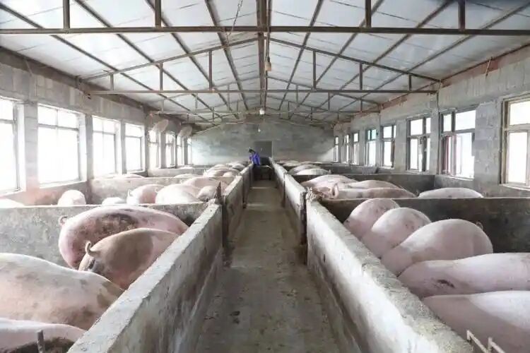 50e4a7c7f376aaebed5607de1f13c5cc.jpg 50e4a7c7f376aaebed5607de1f13c5cc.jpg