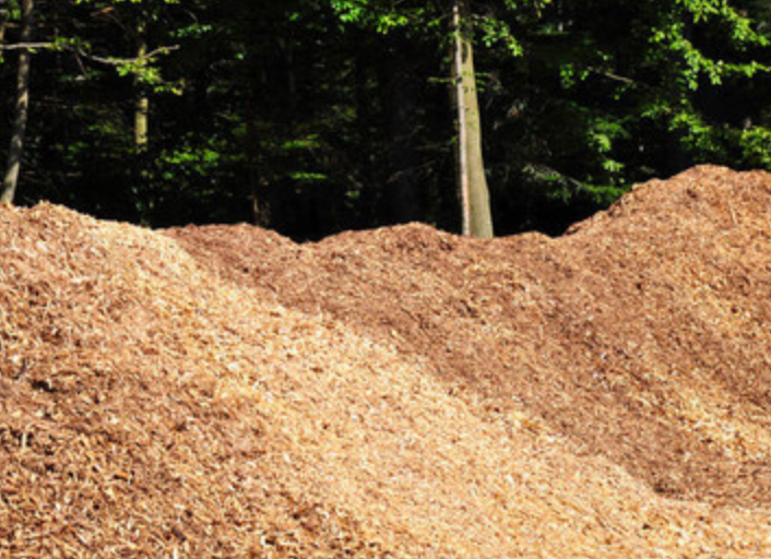 截图20260123102030.png 截图20260123102030.png