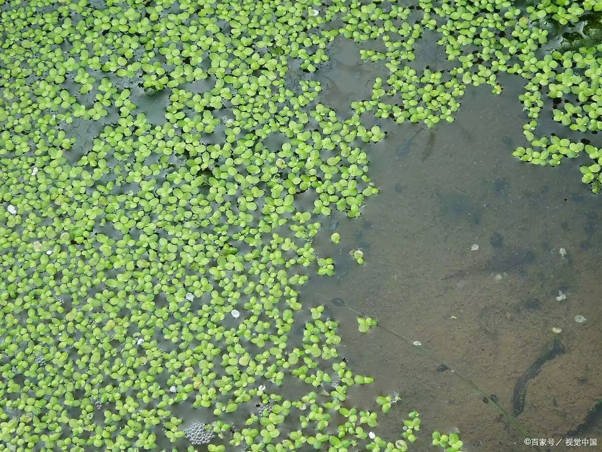 d96f5c3d6cf25d1337a25f13c6574533_720.jpeg d96f5c3d6cf25d1337a25f13c6574533_720.jpeg