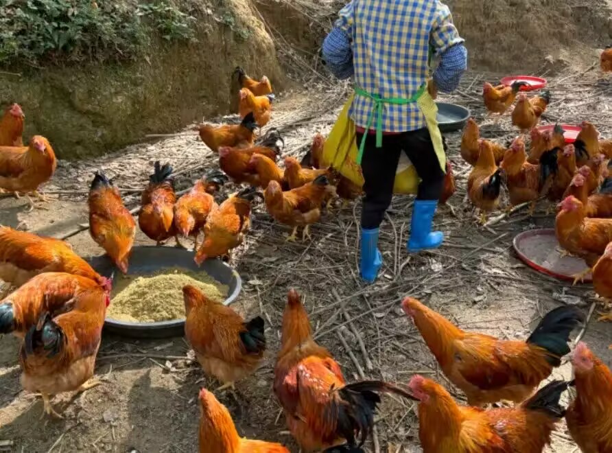 bf2c536312917e2416be9f062ed3296d_720.jpg bf2c536312917e2416be9f062ed3296d_720.jpg