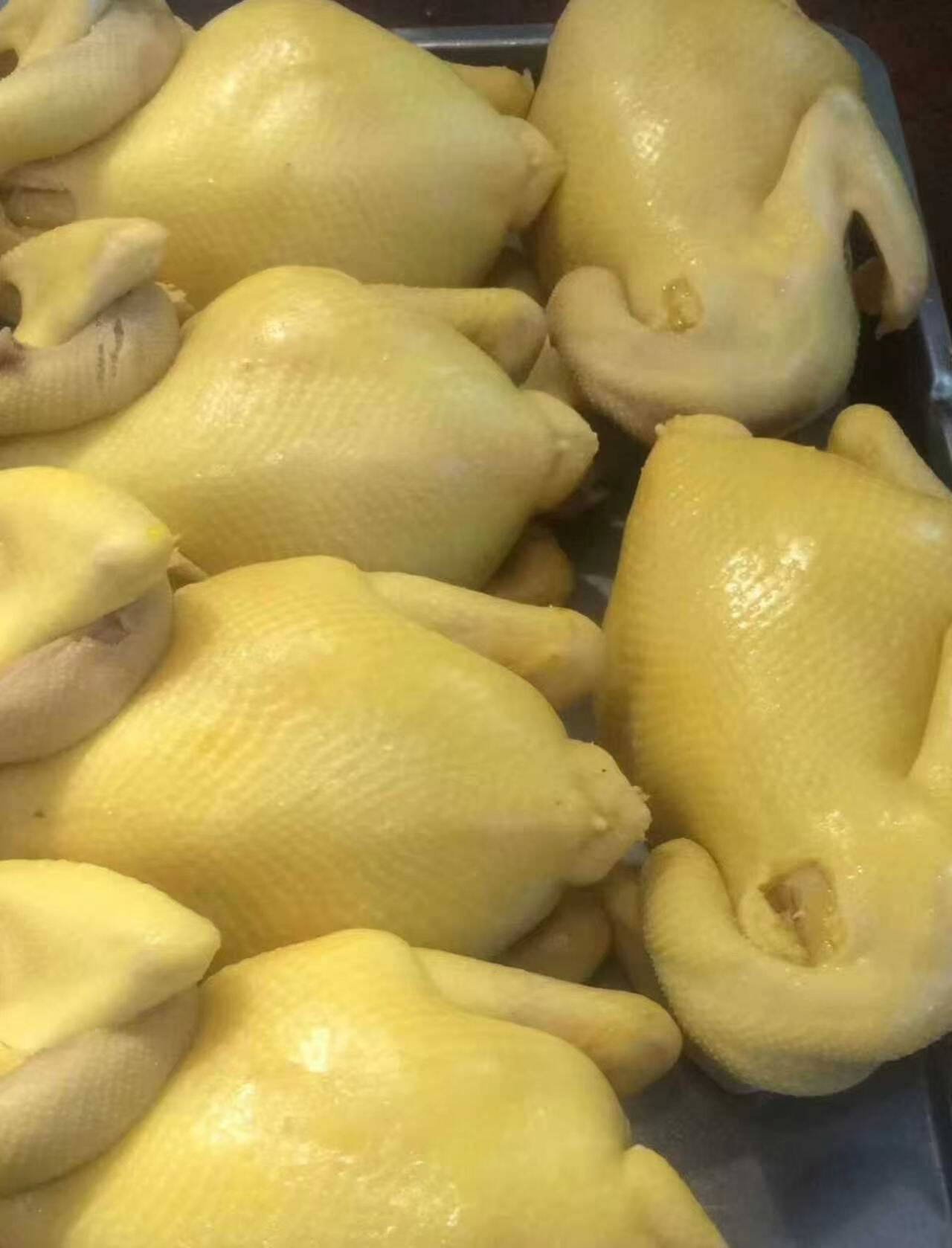 5cf6b5cf521d373313d0b14a14f93ec3_720.jpg 5cf6b5cf521d373313d0b14a14f93ec3_720.jpg