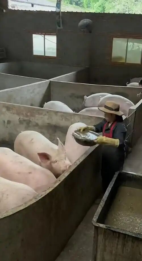 2ceca26a80f4ce5af4d79df0ce183fd0.jpg 2ceca26a80f4ce5af4d79df0ce183fd0.jpg