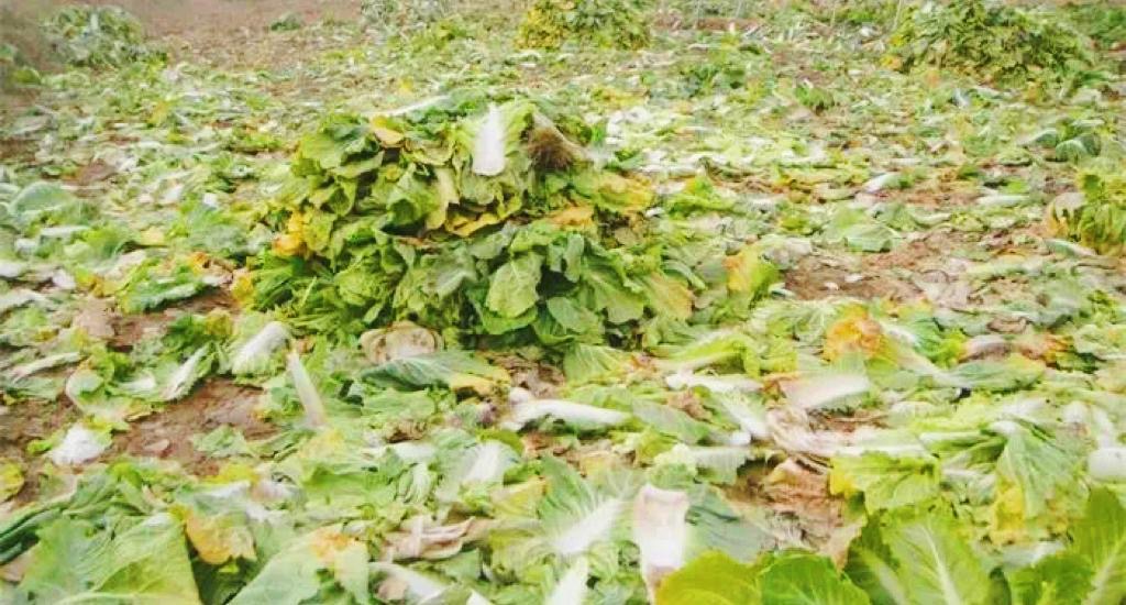 微信图片_20260302151104.jpg 微信图片_20260302151104.jpg