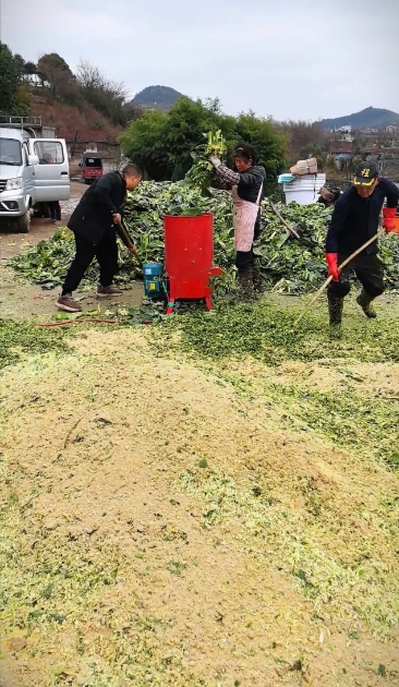 微信截图_20260302151146.jpg 微信截图_20260302151146.jpg