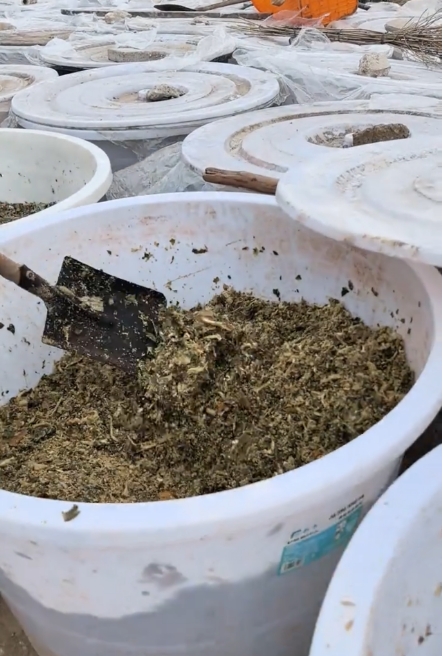 微信截图_20260302151242.jpg 微信截图_20260302151242.jpg