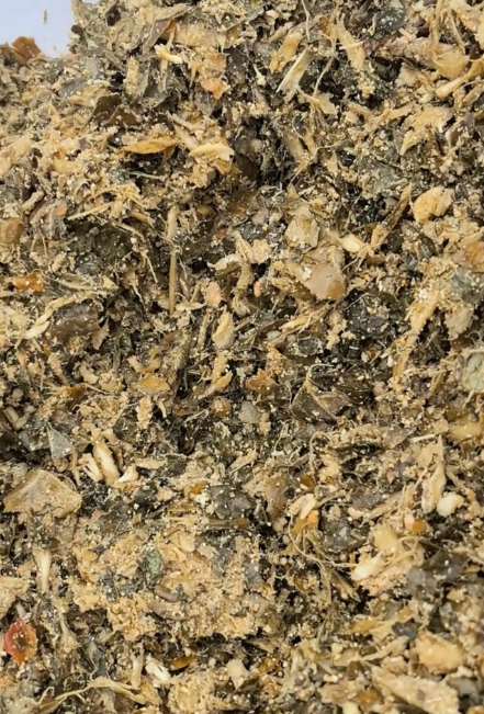 微信截图_20260302151310.jpg 微信截图_20260302151310.jpg