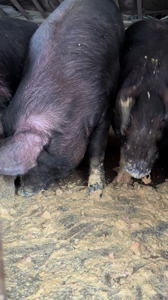 微信图片_20260302151334.jpg 微信图片_20260302151334.jpg