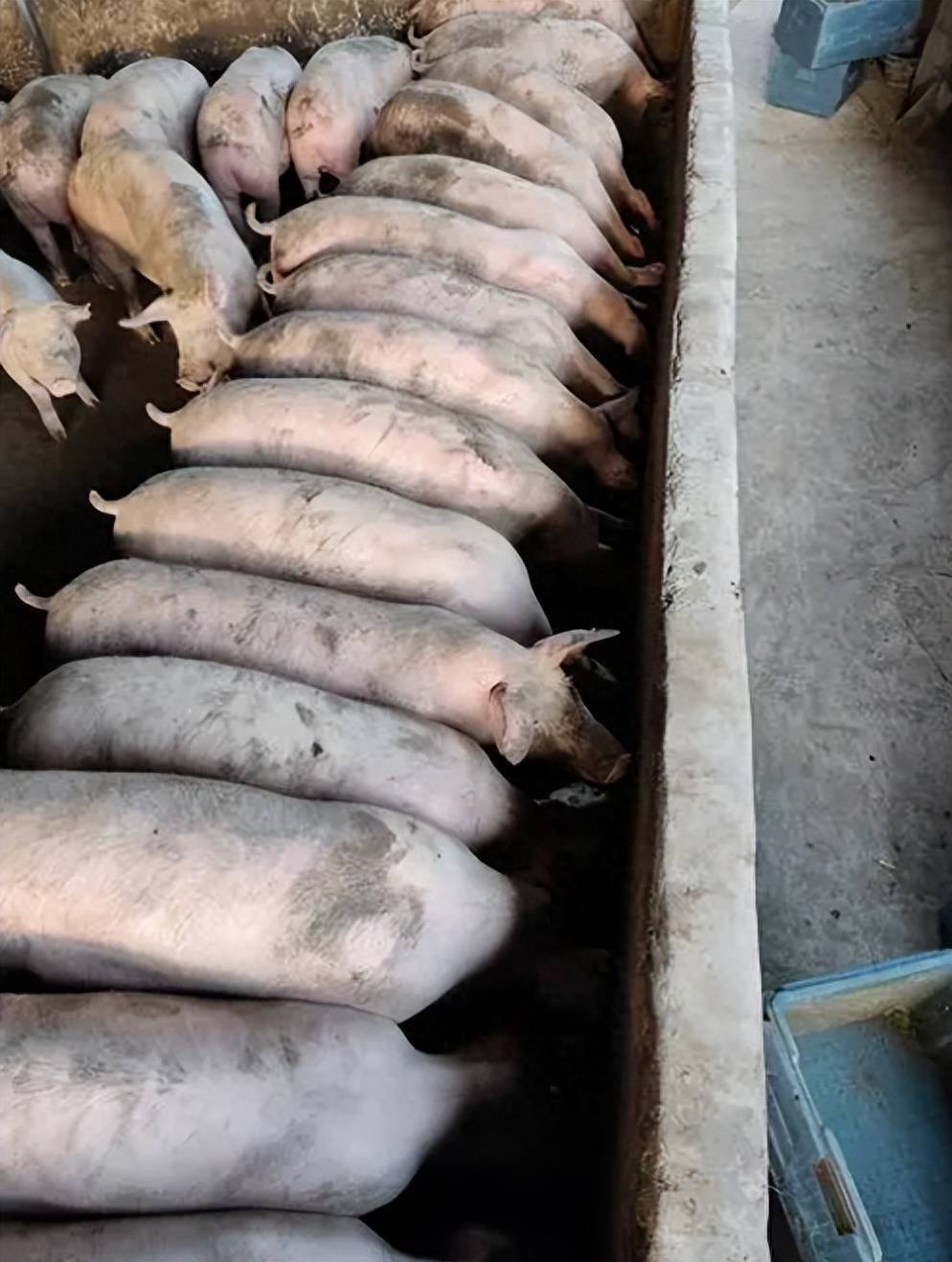 微信图片_20260302151327.jpg 微信图片_20260302151327.jpg