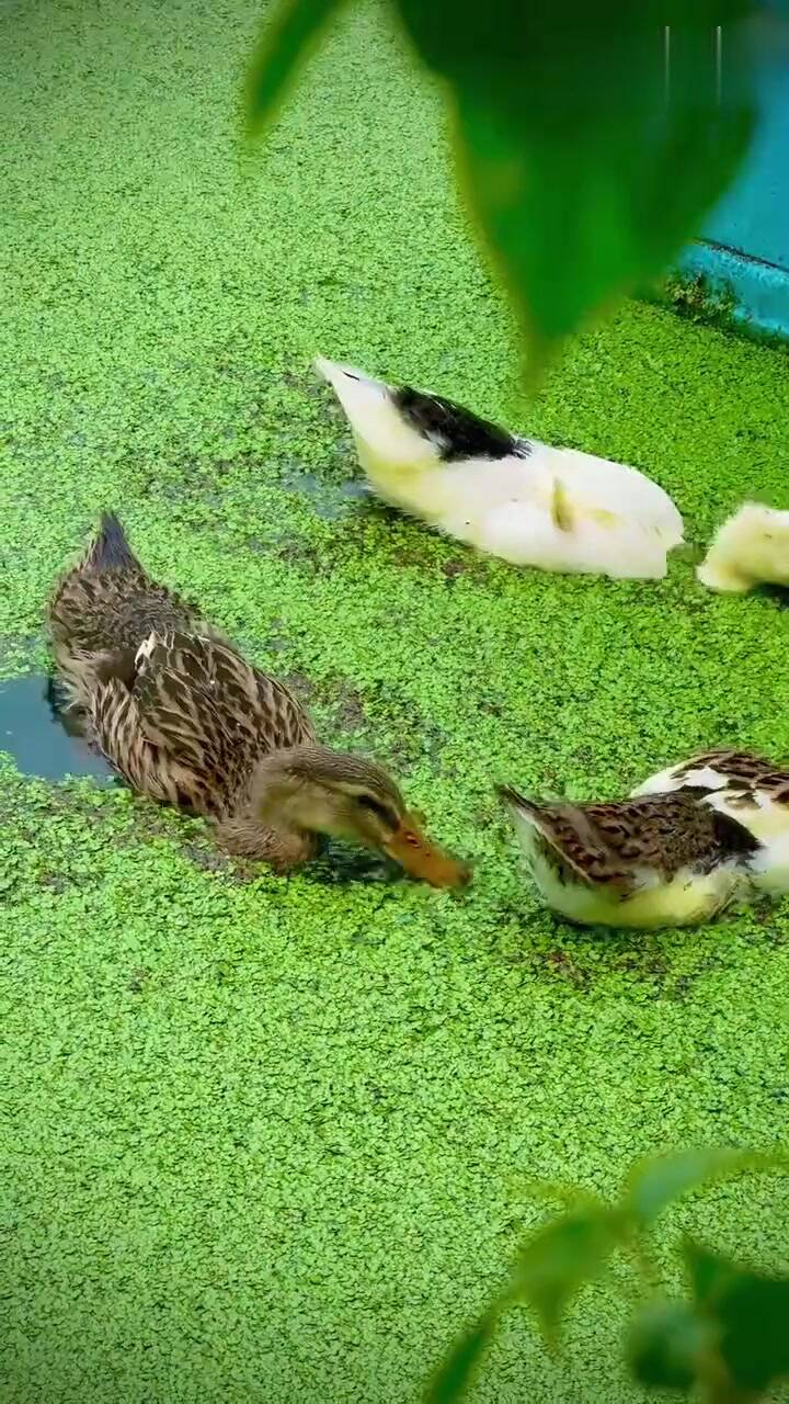 c37f1c30df3d630eb3a87cc1325425be_720.jpeg c37f1c30df3d630eb3a87cc1325425be_720.jpeg