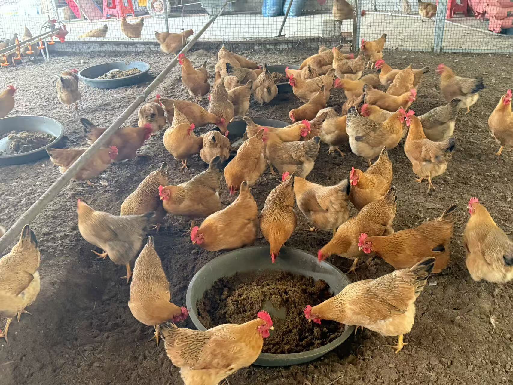 QQ图片20260116104327.jpg QQ图片20260116104327.jpg