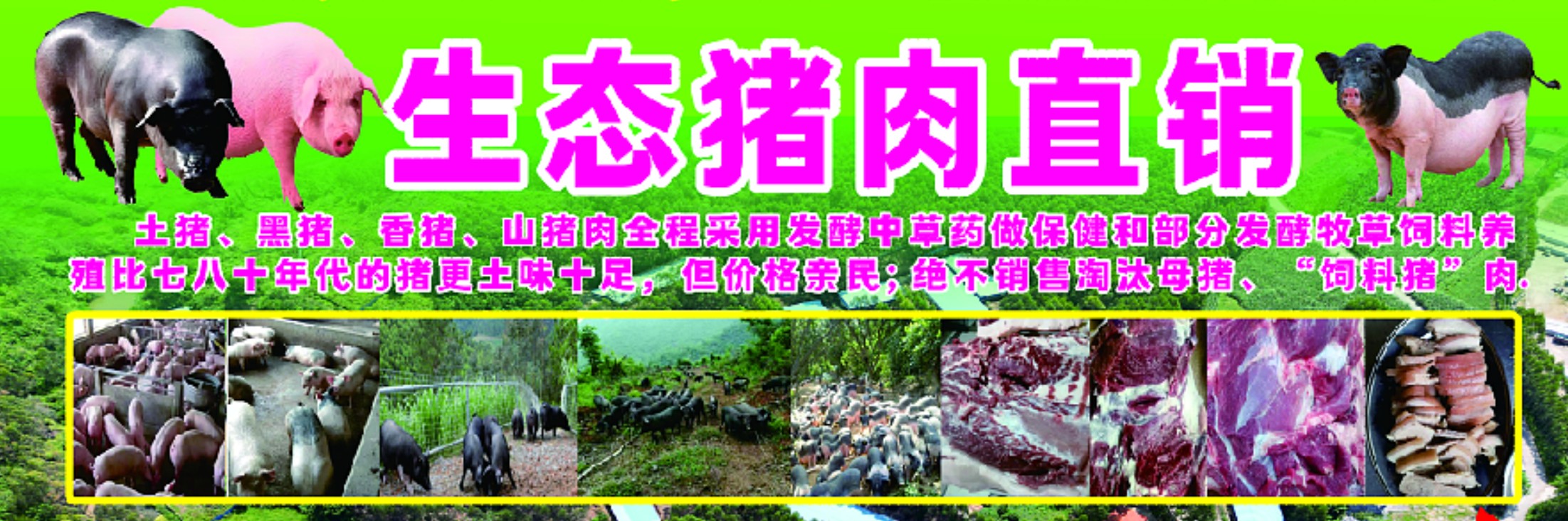 牧草猪肉2.jpg 牧草猪肉2.jpg