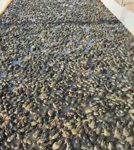 截图20260314092215.png 截图20260314092215.png