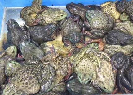 截图20260314094136.png 截图20260314094136.png