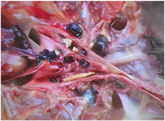 6cb7f17a-25c6-4a3a-8b66-2d3e51e879c1.png 6cb7f17a-25c6-4a3a-8b66-2d3e51e879c1.png