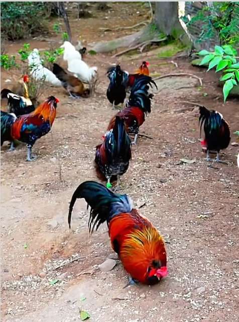 b5c8037d-b6a0-48c7-97bc-314dad68a3fb.png b5c8037d-b6a0-48c7-97bc-314dad68a3fb.png