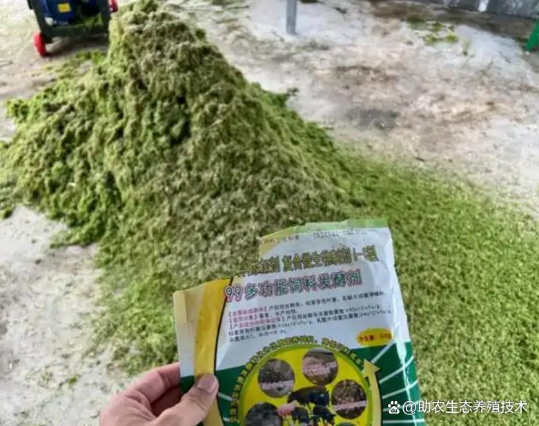 76f6621065c423e17b02f4a1bfd50b43.jpg 76f6621065c423e17b02f4a1bfd50b43.jpg