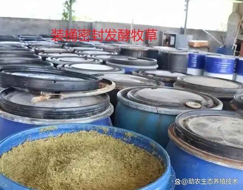 773dcf8a551c21fc8594ad77fbfe129e.jpg 773dcf8a551c21fc8594ad77fbfe129e.jpg