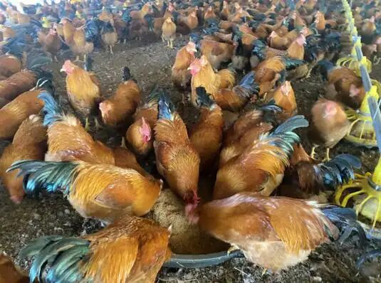 759a3b584d17f7d3da79ad08bef5ed90.jpg 759a3b584d17f7d3da79ad08bef5ed90.jpg