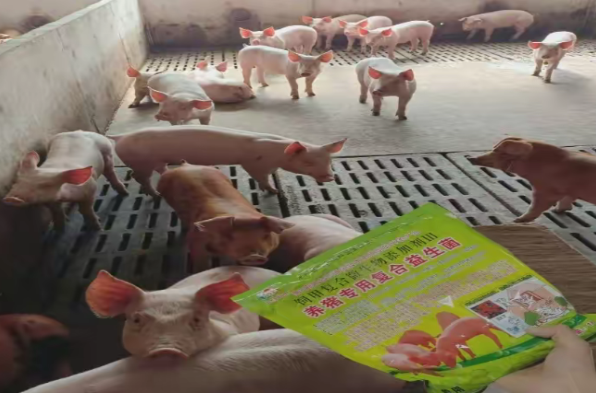 截图20260325094432.png 截图20260325094432.png