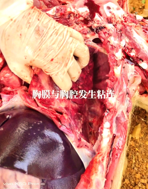 微信截图_20260325100016.jpg 微信截图_20260325100016.jpg