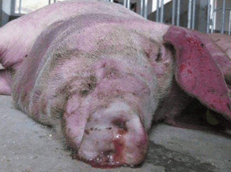 微信截图_20260325095949.jpg 微信截图_20260325095949.jpg