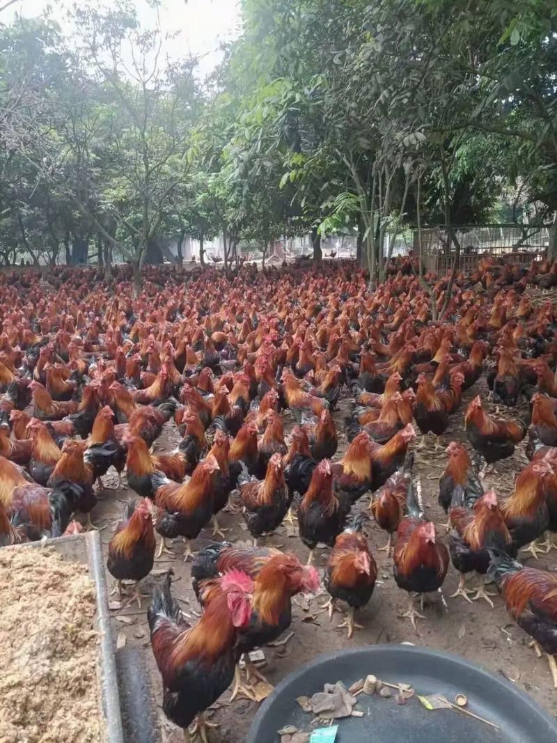 微信图片_20260325104510.jpg 微信图片_20260325104510.jpg