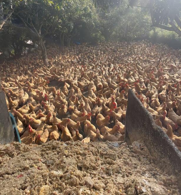 1723004298623100.jpg 1723004298623100.jpg