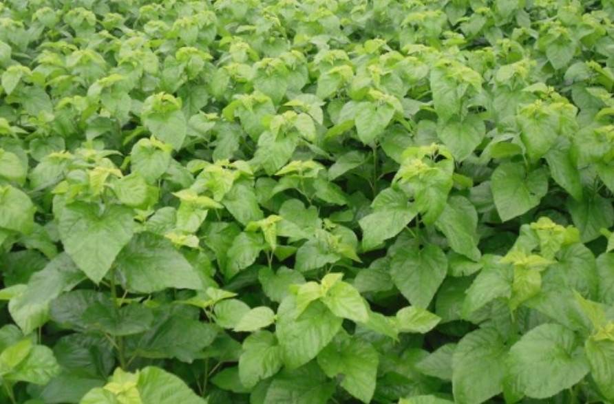 微信图片_20260326103221.jpg 微信图片_20260326103221.jpg