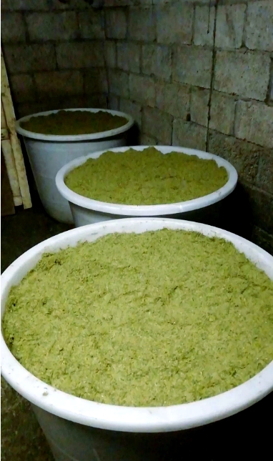 微信截图_20260326103200.jpg 微信截图_20260326103200.jpg