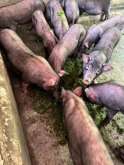 微信截图_20260326103253.jpg 微信截图_20260326103253.jpg