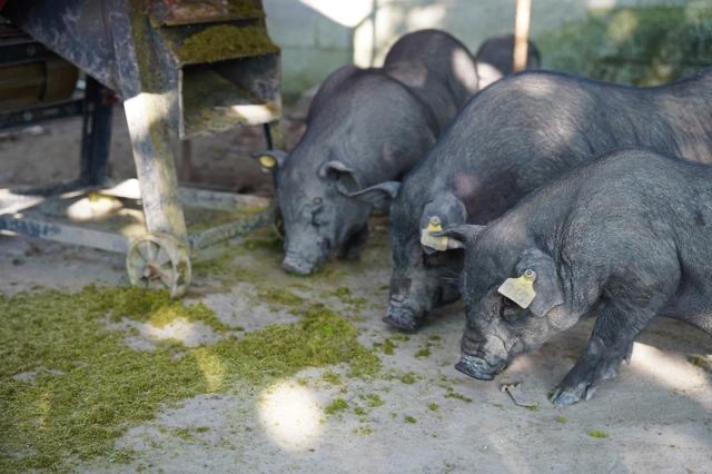 微信图片_20260326103113.jpg 微信图片_20260326103113.jpg