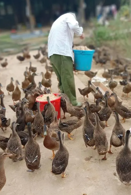 QQ图片20231014101224.png QQ图片20231014101224.png