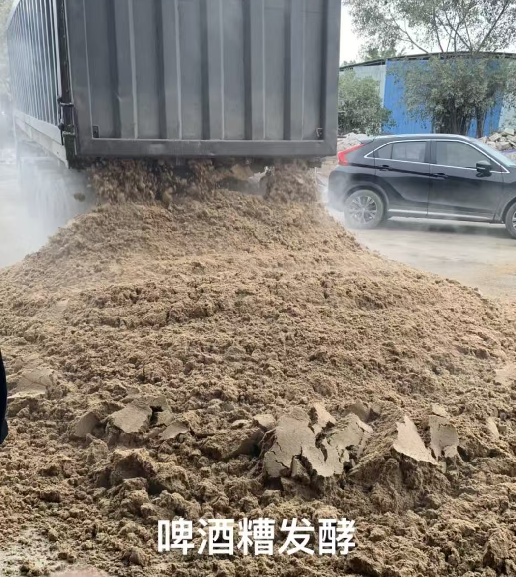 截屏2026-03-27 10.47.56.png