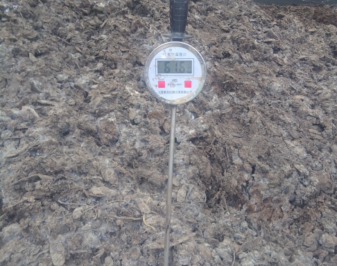 17271115728123777.png 17271115728123777.png