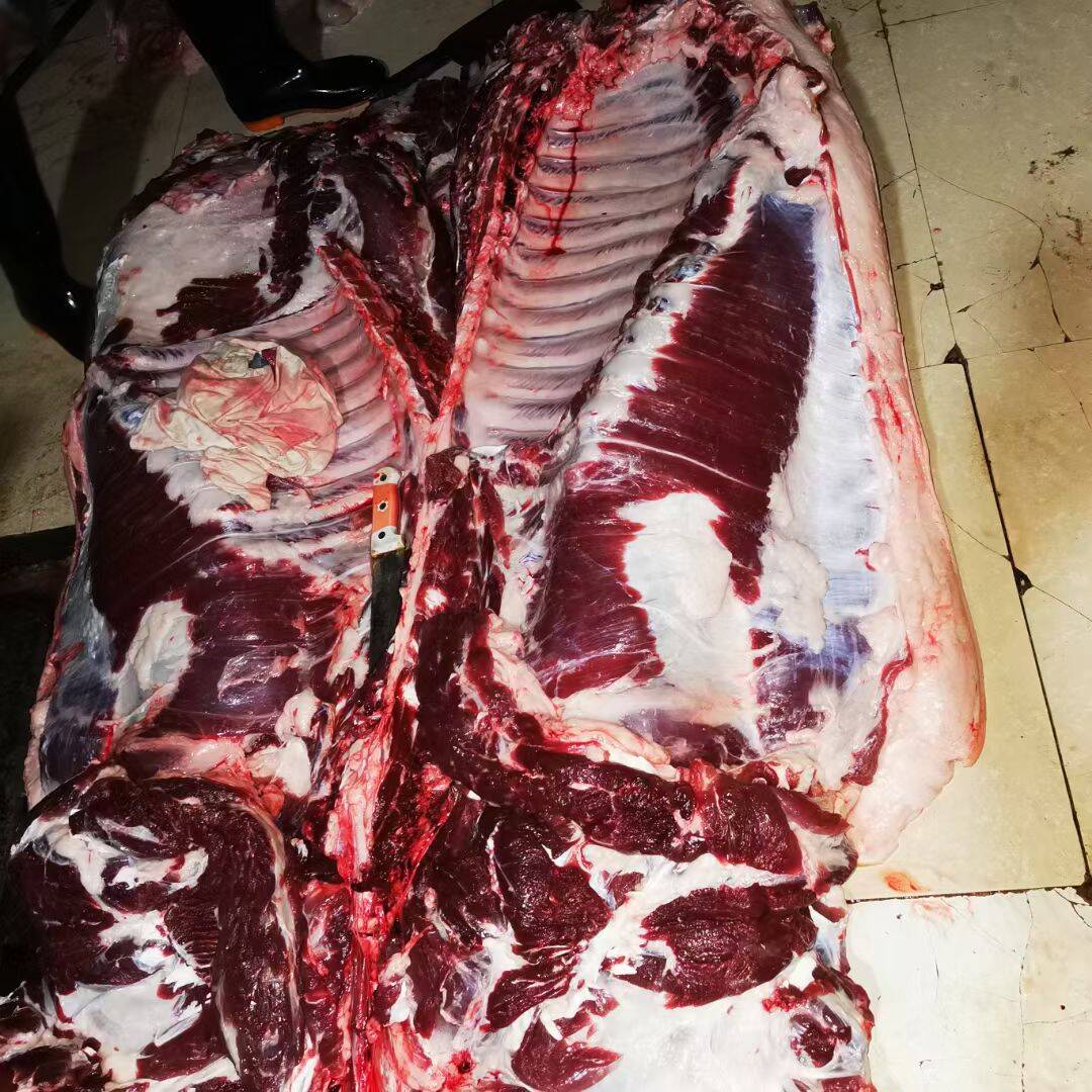 3719244f029168da7c25a3948ddc8ba5_720.jpg 3719244f029168da7c25a3948ddc8ba5_720.jpg