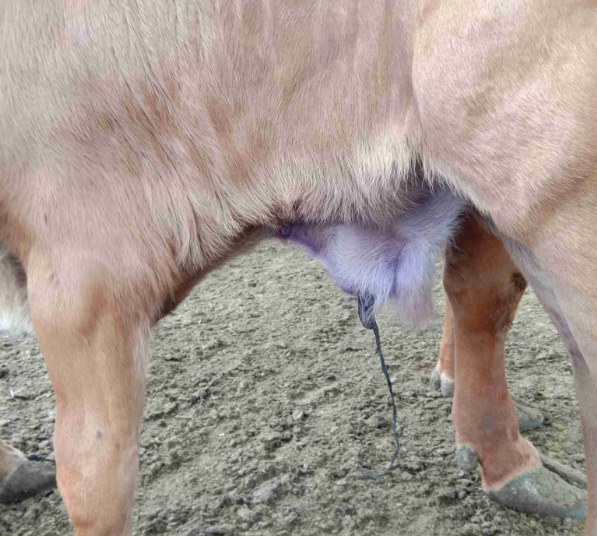 截图20260330162152.png 截图20260330162152.png