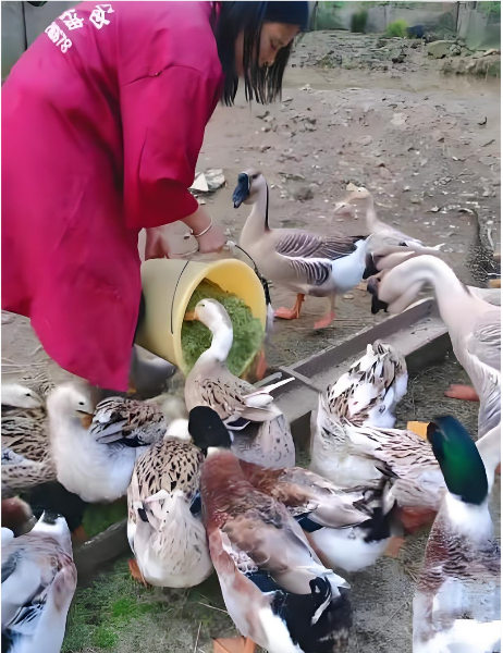 b6a5b7a8-415f-46cf-b36d-a26302e0fcce.png b6a5b7a8-415f-46cf-b36d-a26302e0fcce.png