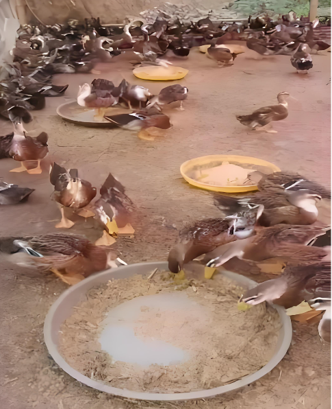 9616a9f4-b89a-450a-9a61-278228ab6113.png 9616a9f4-b89a-450a-9a61-278228ab6113.png