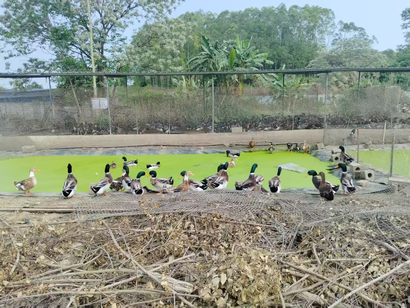 d79af41dcf27ab24bb3ef481c86e8df0.jpg d79af41dcf27ab24bb3ef481c86e8df0.jpg