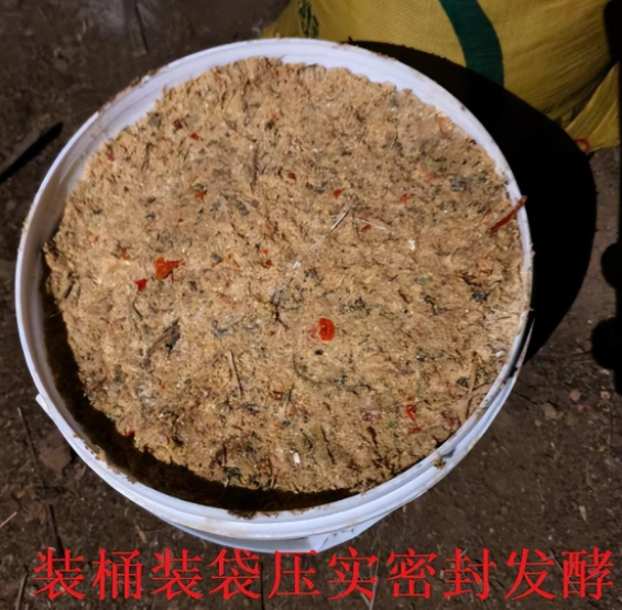 17653310055453550.png 17653310055453550.png