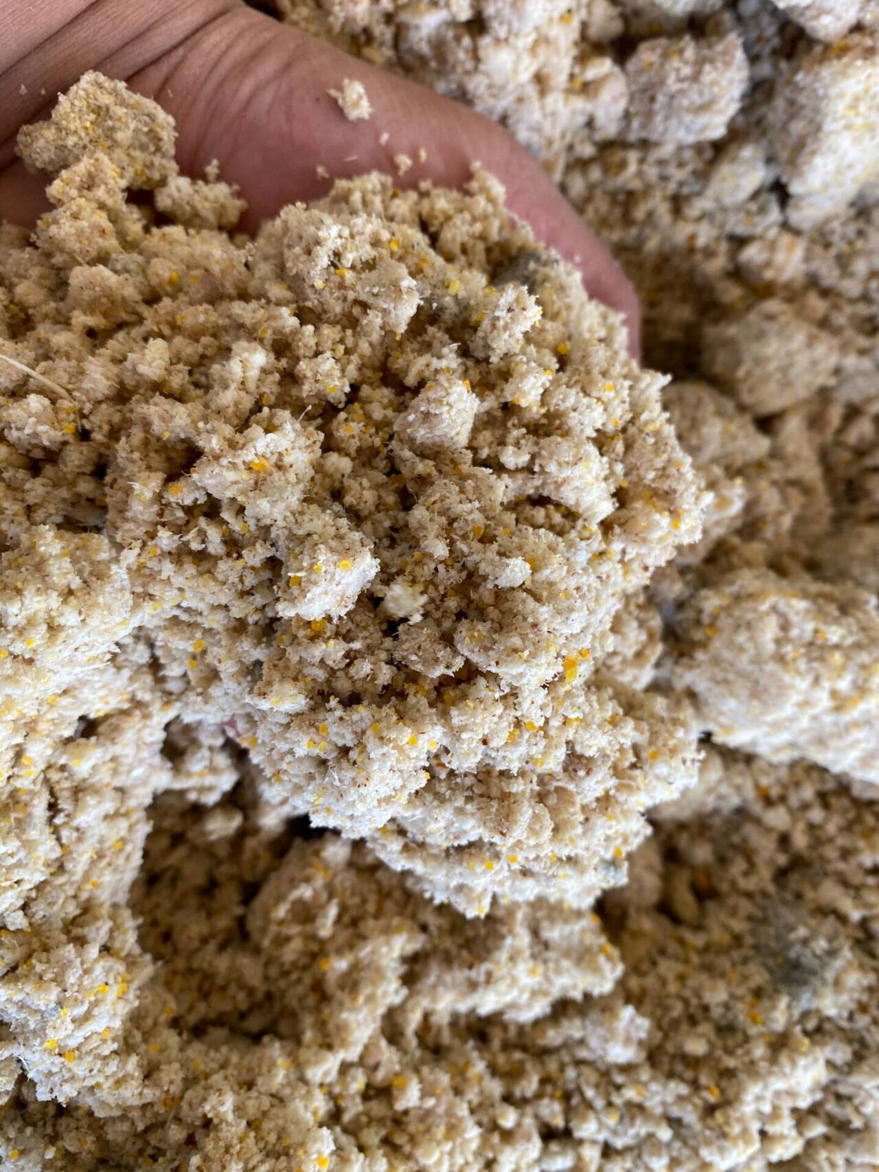 465b9d5d11d2dfd03fd9c19fe020b2cf_720.jpg 465b9d5d11d2dfd03fd9c19fe020b2cf_720.jpg