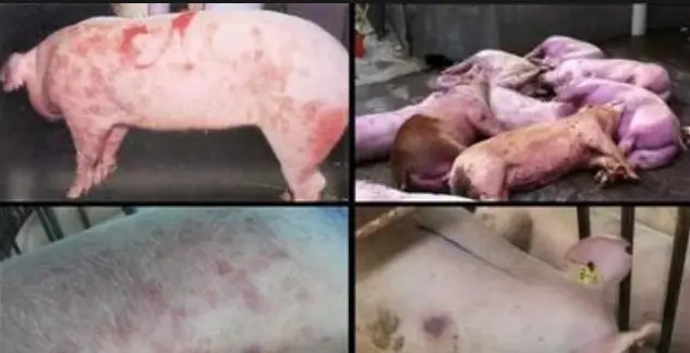 截图20260407100104.png 截图20260407100104.png