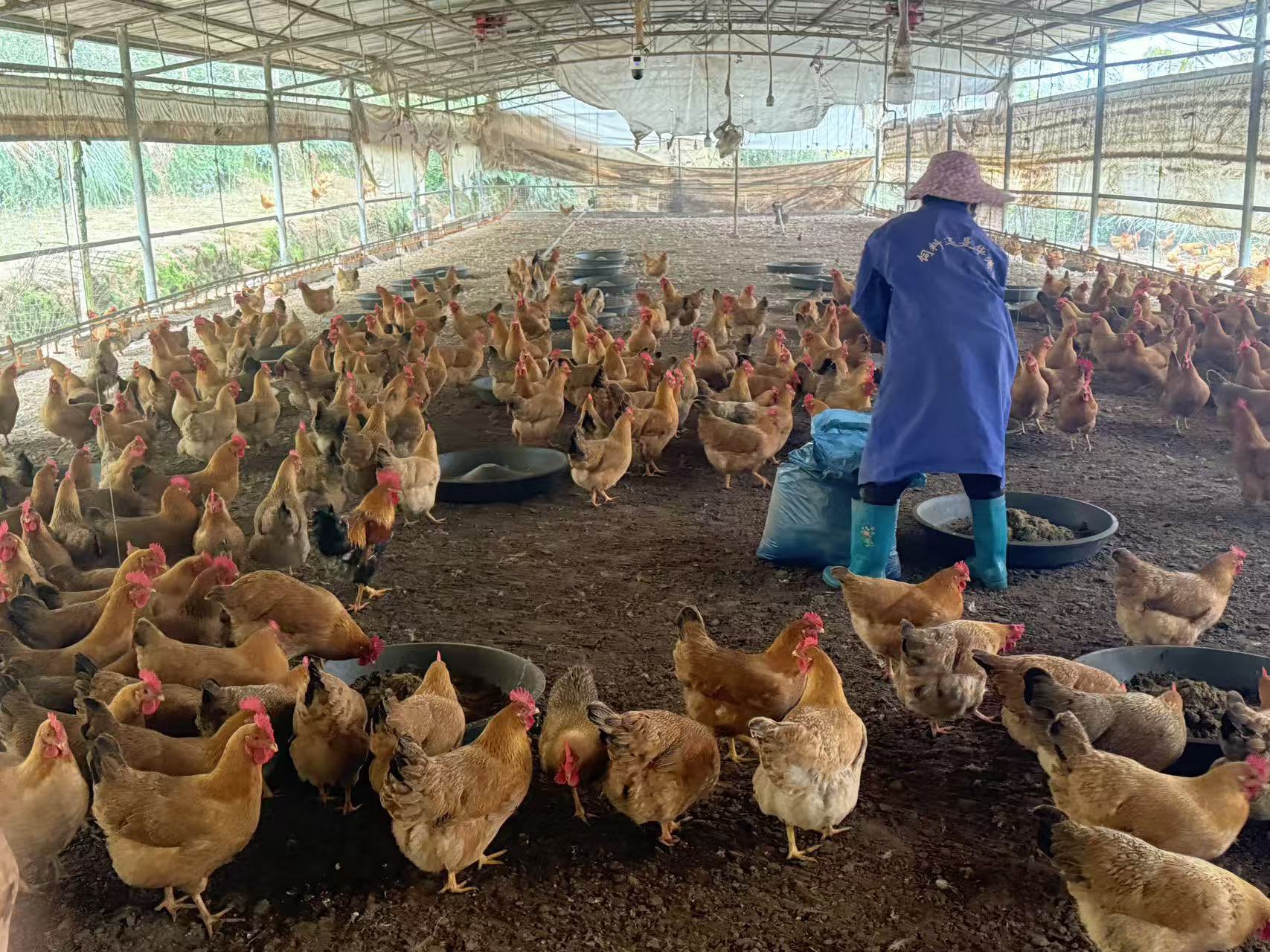 QQ图片20260116104313.jpg QQ图片20260116104313.jpg