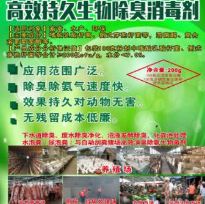 17732809494213880 (1).jpg