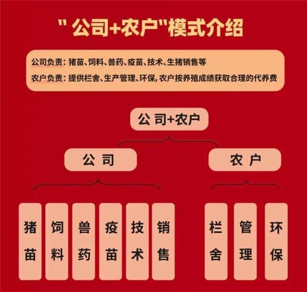 17415892569106093.jpg 17415892569106093.jpg