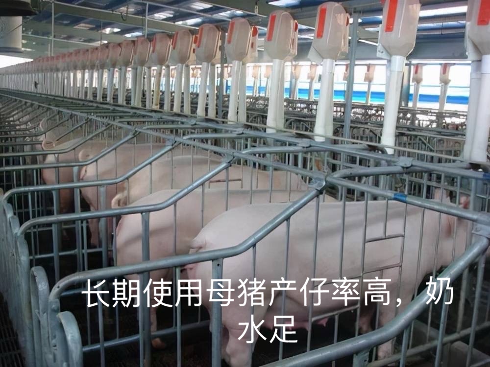 17415895341441617.jpg 17415895341441617.jpg